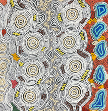 Load image into Gallery viewer, "Budgerigar Dreaming" original Aboriginal painting by Gwenda Nungurrayi Turner, 61cm x 60cm - authentic Indigenous Australian artwork
