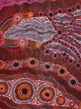 Load image into Gallery viewer, "Rainbow Serpent (Wanampi)" by Debra Umala - detail view of Aboriginal painting, 297cm x 197cm
