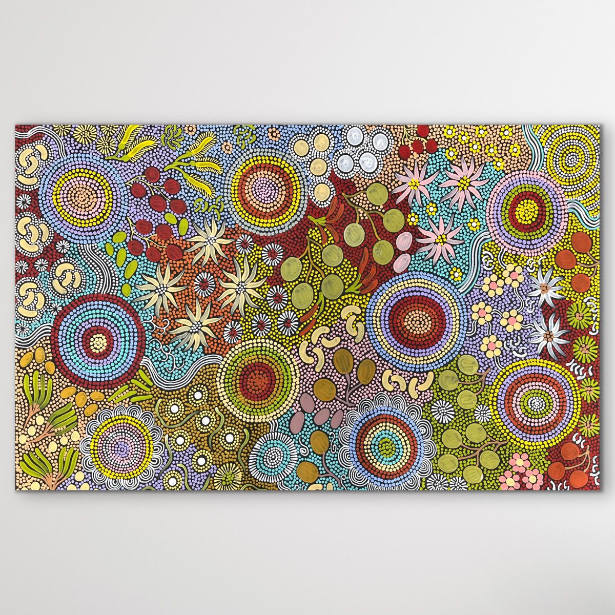Colourful Aboriginal artwork with circular budgie besting and floral elements on a white background 