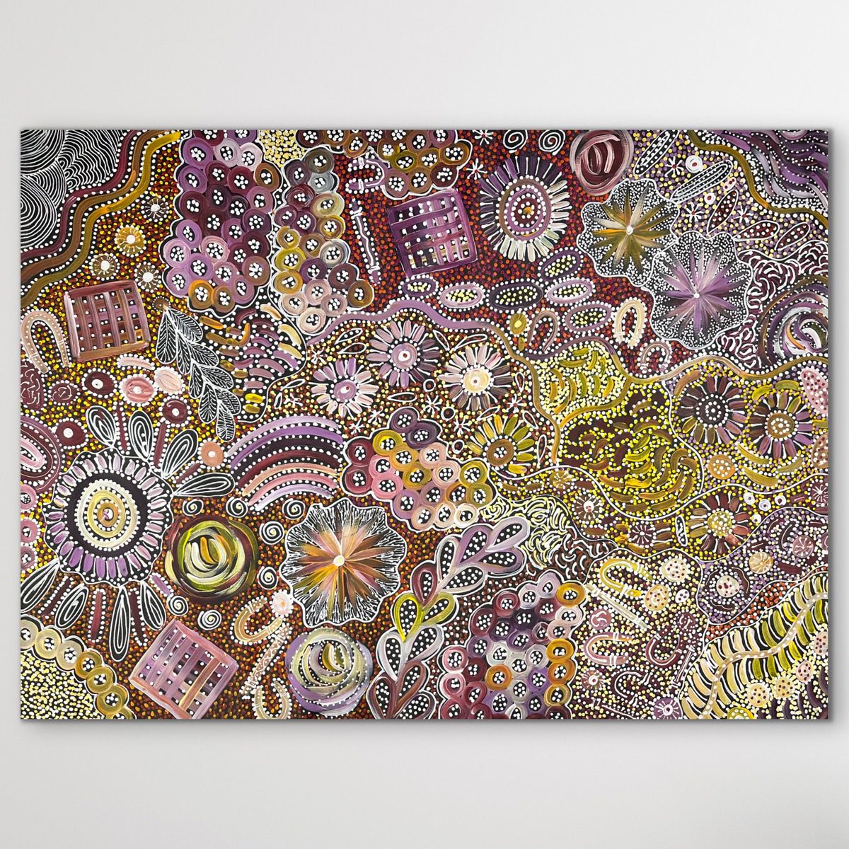 Authentic Aboriginal art from Utopia region for sale in Adelaide "Bush Yam Dreaming" Katrina Bird 95cm x 122cm