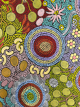 Load image into Gallery viewer, Budgie nesting and bush tucker Indigenous artwork "Budgerigar Dreaming and Bush Tucker" Julieanne Nungurrayi Turner 113cm x 66cm
