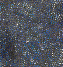Load image into Gallery viewer, "Bush Plum" by Alvira Bird Mpetyane - detail view of Aboriginal painting, 93cm x 88cm
