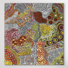 Load image into Gallery viewer, Up close  Janet Golder Kngwarreye&#39;s Utopia Aboriginal art, acrylic on canvas
