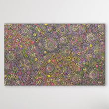 Load image into Gallery viewer, Aboriginal painting Belinda Golder Kngwarreye 154cm x 94cm My Country displayed on white wall featuring flowers, seeds and bush tuckers from Utopia horizontal view
