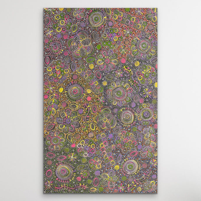 Aboriginal painting Belinda Golder Kngwarreye 154cm x 94cm My Country displayed on white wall featuring flowers, seeds and bush tuckers from Utopia