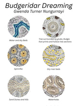 Load image into Gallery viewer, Visual representation of elements in Budgerigar Dreaming as told by Gwenda
