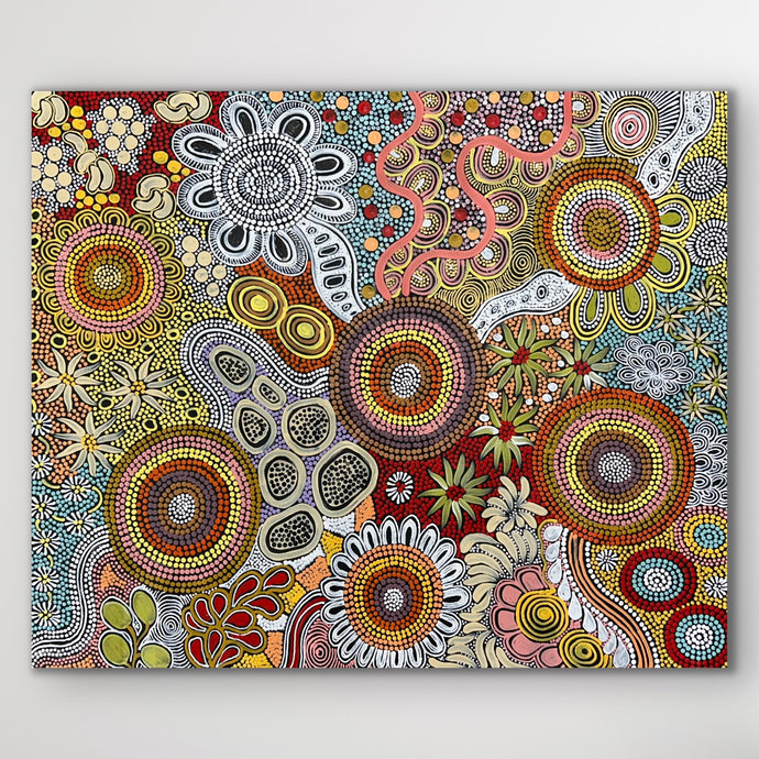 Budgerigar Dreaming & Bush Tucker Aboriginal painting by Julieanne Nungarrayi Turner, featuring dot work and symbolic Dreamtime story