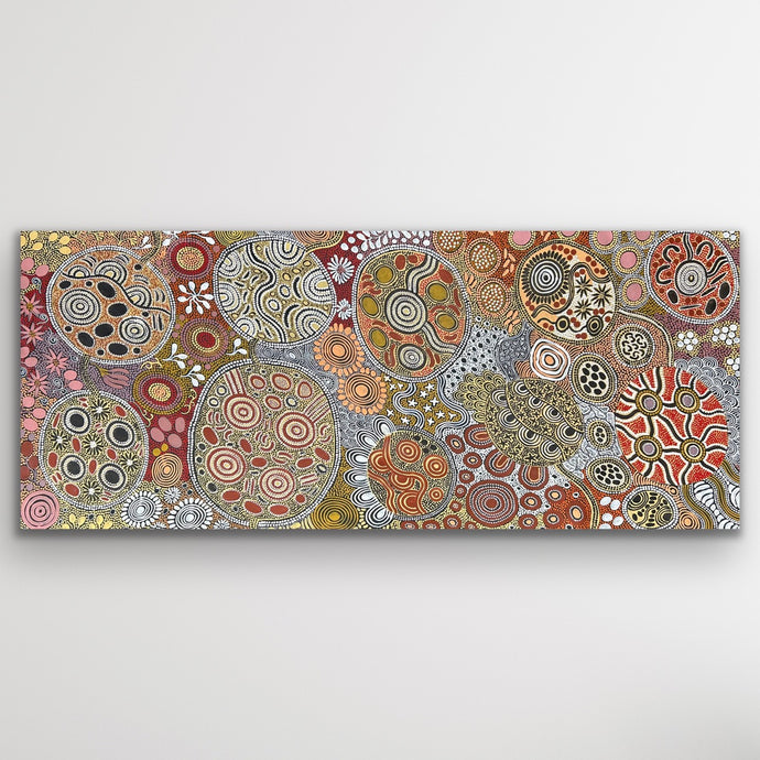 Original Aboriginal artwork showing budgerigar tracks, bush tucker symbols and circular storytelling patterns