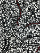 Load image into Gallery viewer, Bush Onion painting by Nancy Martin Napangarti showing fine detail and traditional Central Australian storytelling
