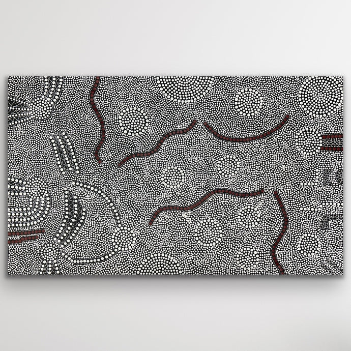 Bush Onion Aboriginal artwork by Nancy Martin Napangarti showing traditional Warlpiri patterns and Dreamtime meaning
