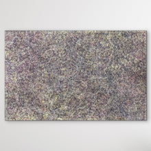 Load image into Gallery viewer, &quot;Bush Plum&quot; Roseanne Morton Petyarre 199cm x 127cm pinky sandy painting aboriginal painting large artwork adelaide australia
