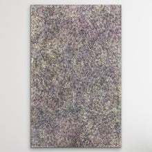 Load image into Gallery viewer, &quot;Bush Plum&quot; Roseanne Morton Petyarre 199cm x 127cm aboriginal painting Utopia N.T on white wall
