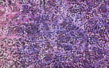 Load image into Gallery viewer, &quot;Bush Plums&quot; Bessie Pitjara 151cm x 97cm

