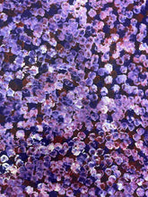 Load image into Gallery viewer, &quot;Bush Plums&quot; Bessie Pitjara 151cm x 97cm
