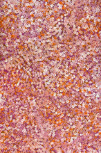 Load image into Gallery viewer, Bush Plums Bessie Pitjara 145cm x 95cm full painting aboriginal dot art
