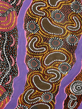 Load image into Gallery viewer,  Aboriginal art pattern with intricate designs illustrating Bush Tucker
