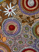 Load image into Gallery viewer, Yuelamu Budgerigar Dreaming Artwork Australian Aboriginal Art Online
