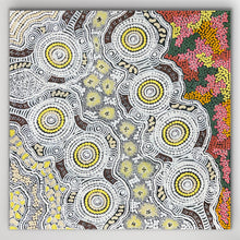 Load image into Gallery viewer, "Budgerigar Dreaming" original Aboriginal painting by Gwenda Nungurrayi Turner, 61cm x 60cm - authentic Indigenous Australian artwork
