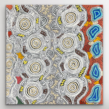 Load image into Gallery viewer, "Budgerigar Dreaming" original Aboriginal painting by Gwenda Nungurrayi Turner, 61cm x 60cm - authentic Indigenous Australian artwork
