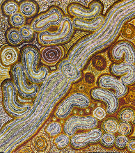 Load image into Gallery viewer, Detailed brushwork and flowing movement capture ancestral pathways across Country.
