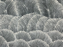 Load image into Gallery viewer, &quot;Sand Dunes (Tali)&quot; Maureen Nampijinpa Hudson 201cm x 86cm
