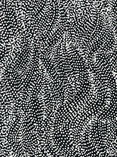 Load image into Gallery viewer, Close up max of dotwork in "Mina-Mina Jukurrpa" Justinna Napaljarri Sims 139cm x 95cm
