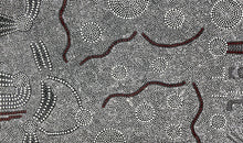 Load image into Gallery viewer, Detailed section of Bush Onion Aboriginal painting by Nancy Martin Napangarti showing organic movement and cultural design
