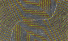 Load image into Gallery viewer, Detailed section of Bush Onion Aboriginal painting by Tansy Martin showing repetition and movement across the canvas
