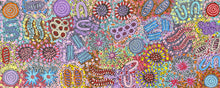 Load image into Gallery viewer, Detail of Grandmother&#39;s Country painting Michelle Possum Nungurrayi Aboriginal art
