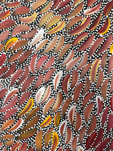Load image into Gallery viewer, Close up of Water Dreaming Chantelle Nampijinpa Robertson 93cmx91cm original painting
