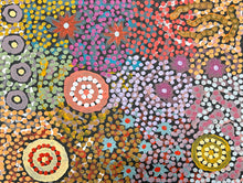 Load image into Gallery viewer, Rich layers of court in Michelle Possum&#39;s work
