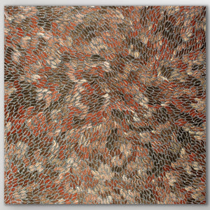 "Water Dreaming" Chantelle Nampijinpa Robertson 120cm x 116cm