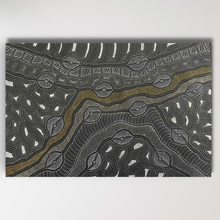 Load image into Gallery viewer, Delvine Pitjara Original painting My Country shown horizontal 
