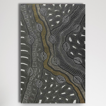 Load image into Gallery viewer, Delvine Pitjara Original painting My Country shown vertical 
