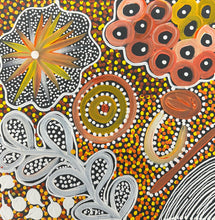 Load image into Gallery viewer, Close-up section of Janet Golder Kngwarreye’s dot painting showing bush foods and pathways.
