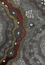 Load image into Gallery viewer, Aborifinal depiction of a river and land  with intricate patterns and textures
