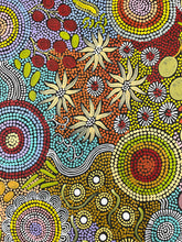 Load image into Gallery viewer, Budgie nesting dot painting from Northern Territory "Budgerigar Dreaming and Bush Tucker" Julieanne Nungurrayi Turner 113cm x 66cm
