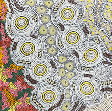 Load image into Gallery viewer, "Budgerigar Dreaming" Gwenda Nungurrayi Turner 61cm x 60cm

