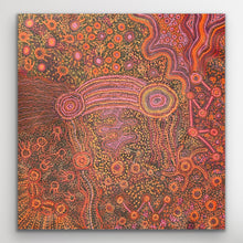 Load image into Gallery viewer, “Mamungari-Nya&quot; Renae Nakamarra Nelson 85cm x 89cm
