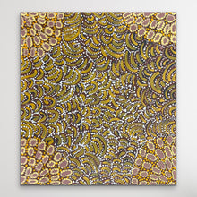 Load image into Gallery viewer, APY artist fiona Pompey full paintings
