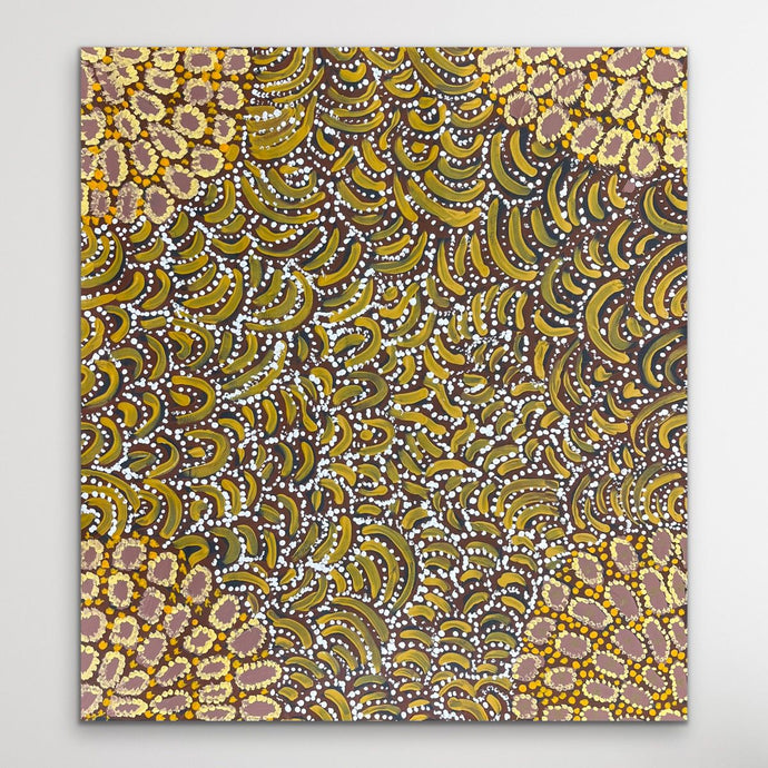 APY artist fiona Pompey full paintings