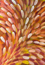 Load image into Gallery viewer, Close-up Esther Haywood Petyarre Bush Medicine Leaves Aboriginal Orange Painting Healing Leaves
