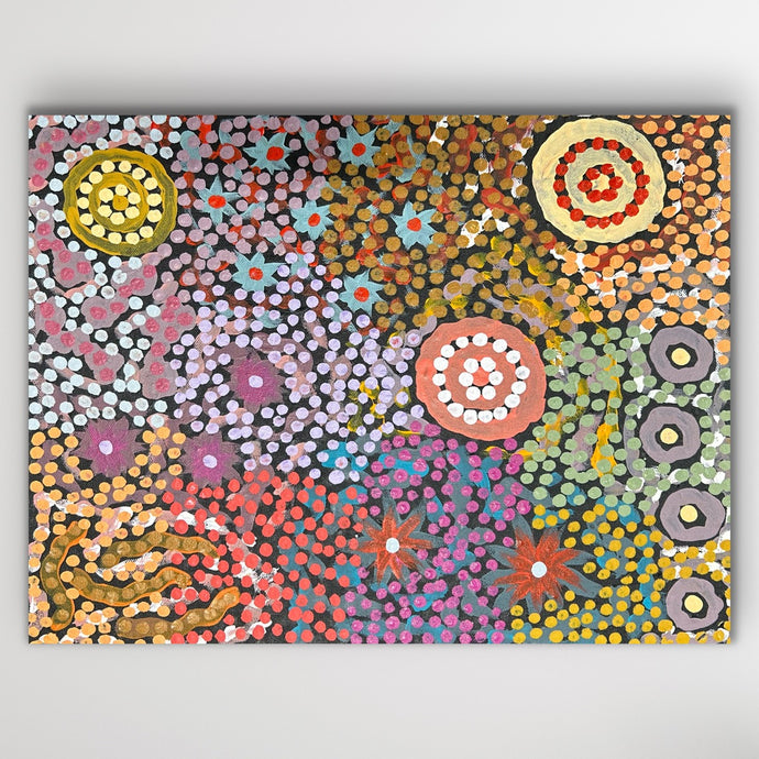 Vibrant circular motifs ripple across coral and violet fields, celebrating family connections to Country.