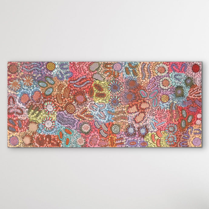 Grandmother's Country Michelle Possum Nungurrayi 178cm x 120cm displayed horizontal on white wall painting is pink, red, purple, brown, blue, with detailed dot work and aboriginal symbols