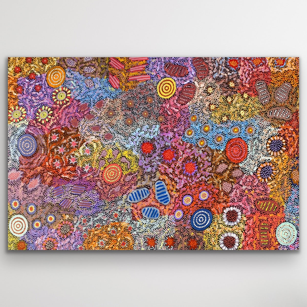 Aboriginal canvas print Grandmother's Country by Michelle Possum Nungurrayi