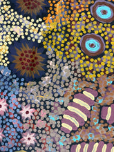 Load image into Gallery viewer, Close up detailed Aboriginal dot painting
