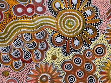 Load image into Gallery viewer, &quot;Bush Flowers&quot; Bernadine Johnson Kemarre 60cm x 61cm
