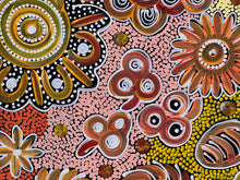 Load image into Gallery viewer, &quot;Bush Flowers&quot; Bernadine Johnson Kemarre 60cm x 61cm
