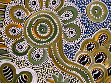 Load image into Gallery viewer, &quot;Bush Flowers&quot; Bernadine Johnson Kemarre 60cm x 60cm
