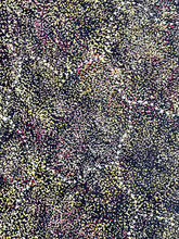 Load image into Gallery viewer, &quot;Bush Plum&quot; Roseanne Morton Petyarre 199cm x 127cm
